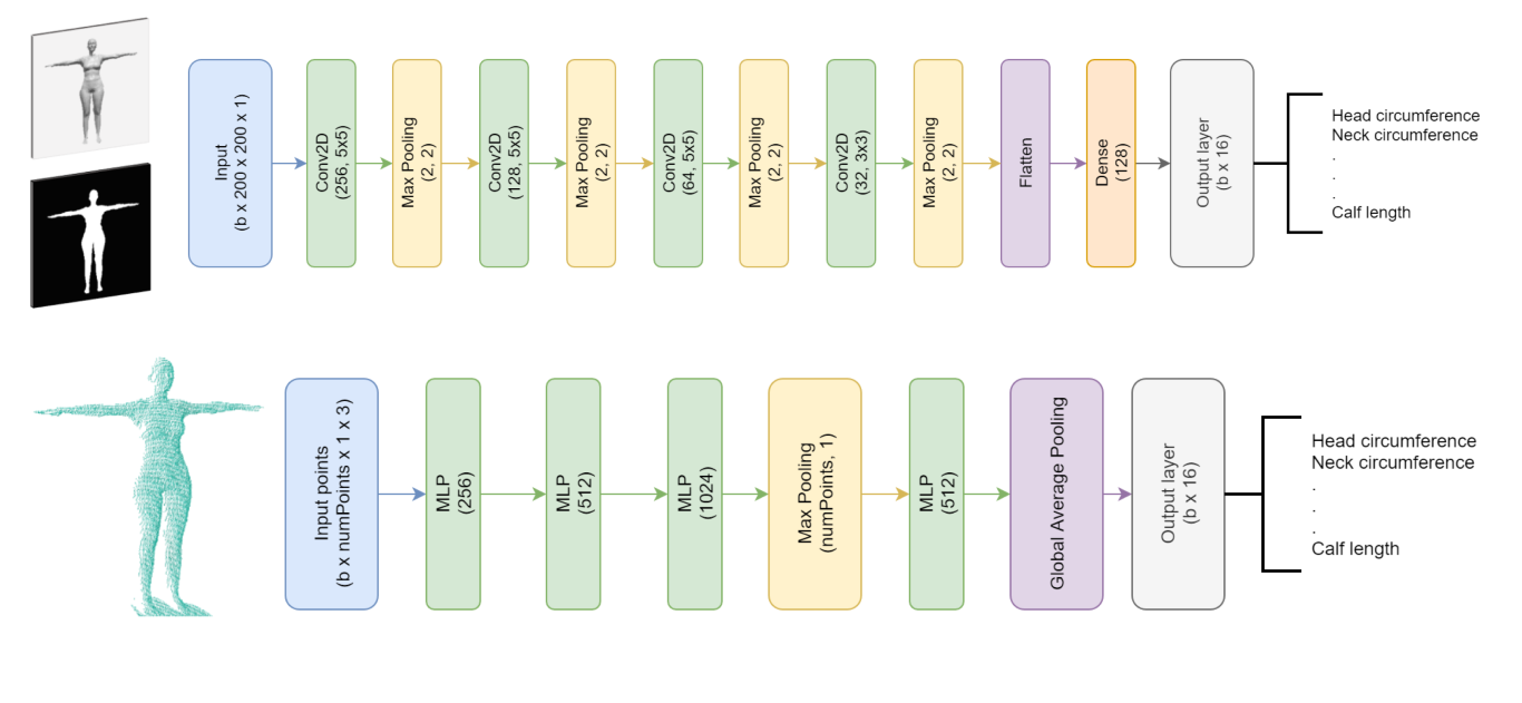 Illustration of anthropometric human body measurements estimation